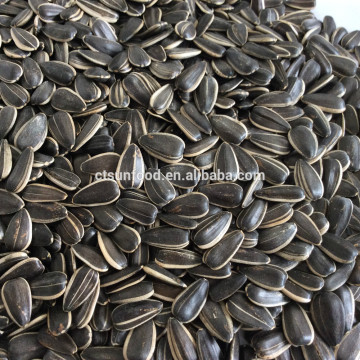 cheap sunflower seeds sell sunflower seeds