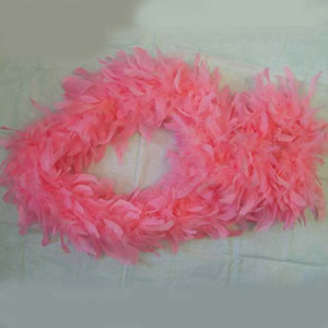 feather boa