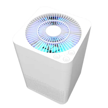 Portable True HEPA Filter Air Purifier for Home