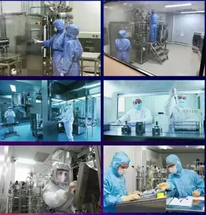 Amoxicillin and Colistin Sulfate Injection