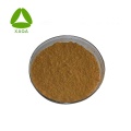 Radix Ophiopogonis Extract Powder 20:1