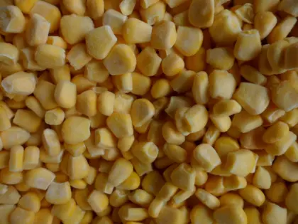 frozen foods frozen vegetables frozen sweet corn