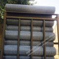 2'' x 2'' Galvanized Welded Wire Mesh