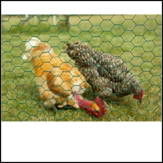 anping high quality and low price chicken net/breed wire mesh