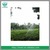 sprinkler spray irrigation garden vegetable sprinkler
