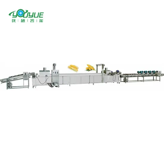 Professional High-Quality Bubble Washing Machine for Fruits, Vegetables, and Industrial Use: Efficient Cleaning of Green Leaf Vegetables