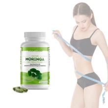 Brûleur de graisse OEM / ODM Capsules de perte de poids Moringa