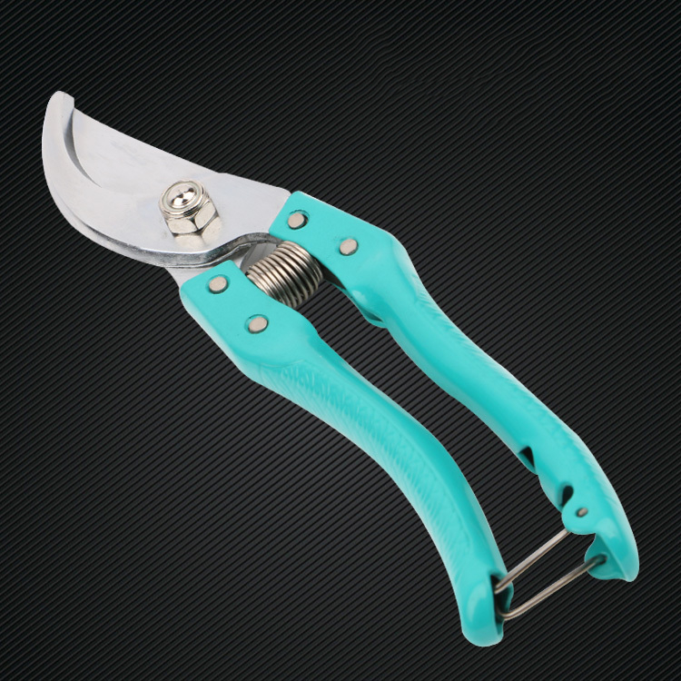 Pruning Plier