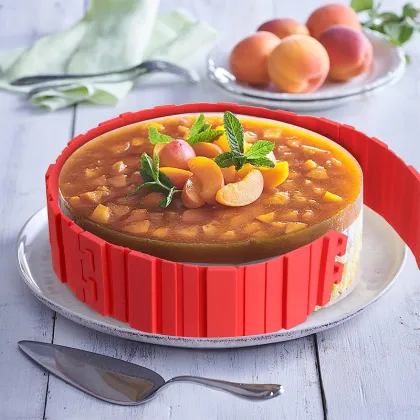 Search Engine for Cake Form6 Resources and Information