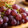 مزرعة العنب الطازج المختار بعناية