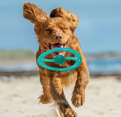 Dog Frisbee Interactive Flying Disc Pet Toys