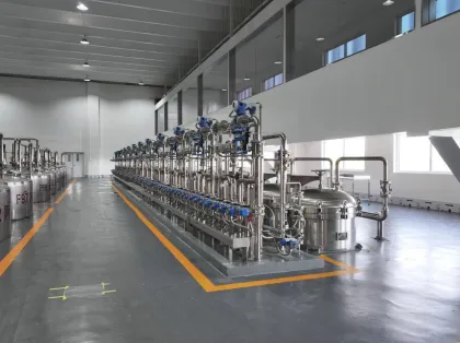 Sugar Free Polydextrose Powder Foods Additive