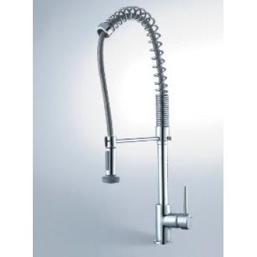 Kitchen Mixer with Pull-Out Spout