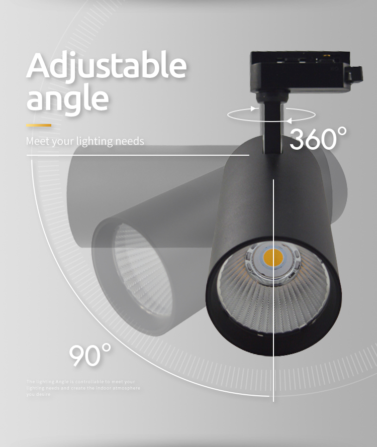 Adaptable commercial track light