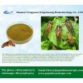 Cicadae Periostracum Cicada Slough Extract Powder