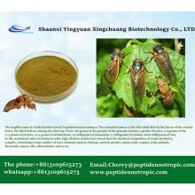 Cicadae Periostracum Cicada Slough Extract Powder