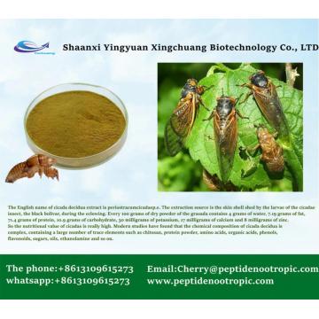 Cicadae periostracum Cigada Slough Extract Powder