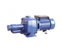 100% cast iron pump body 2hp jet self priming garden water pump with cheap price