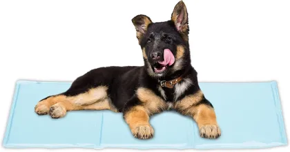 Cooling ice mat for dog