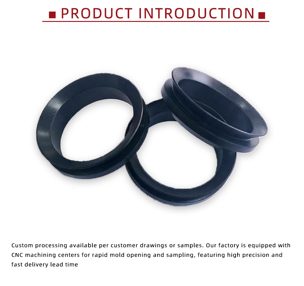 Special Black Multi-Lip Hydraulic Sealing Parts x