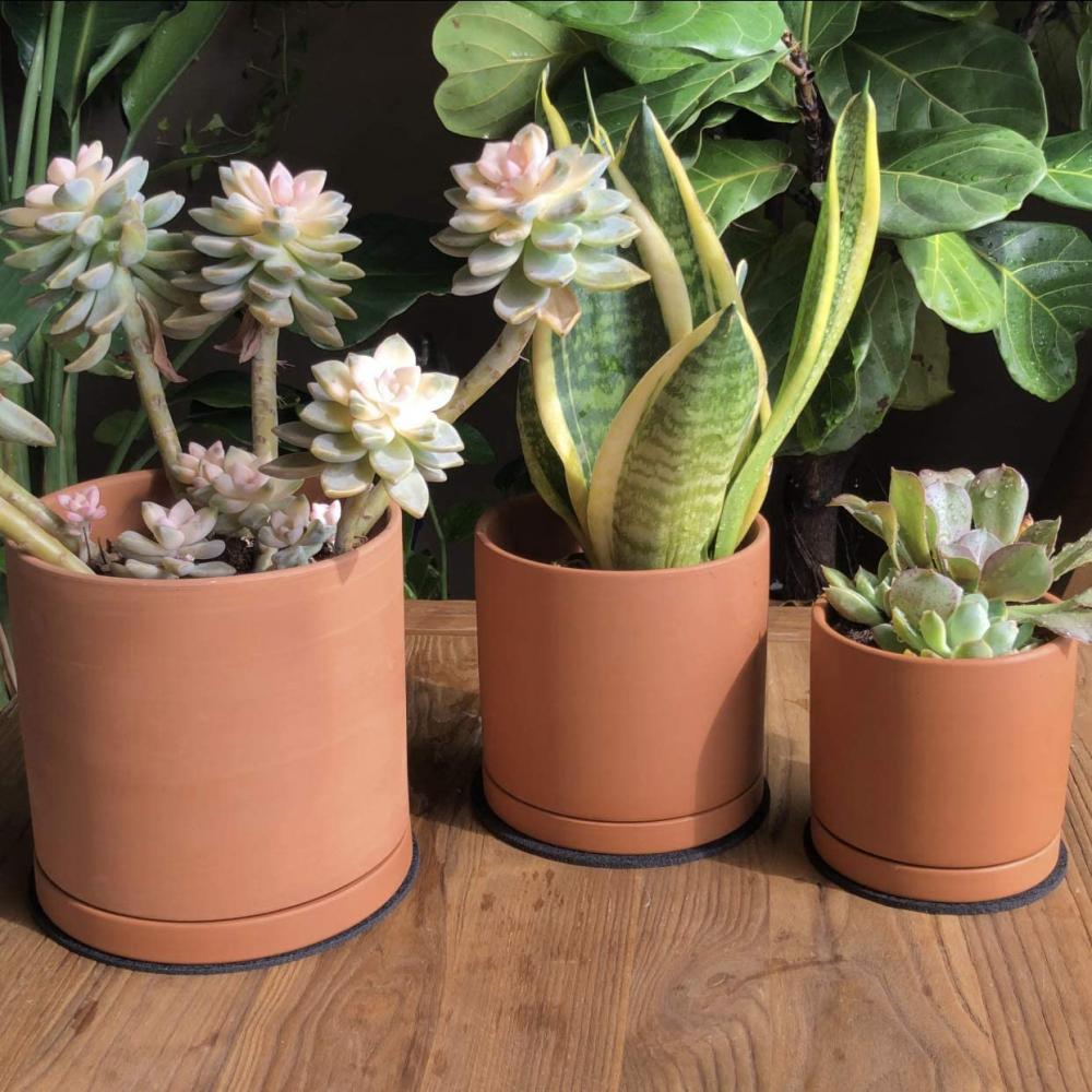 Pots en terre cuite pour les plantes