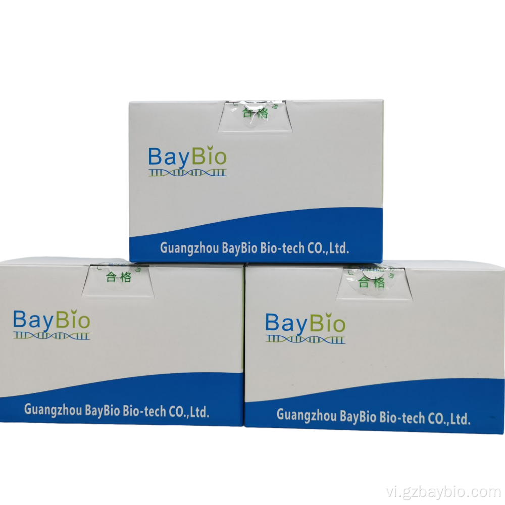 Nh chiết DNA năng suất cao Baypure Bay từ tính DNA