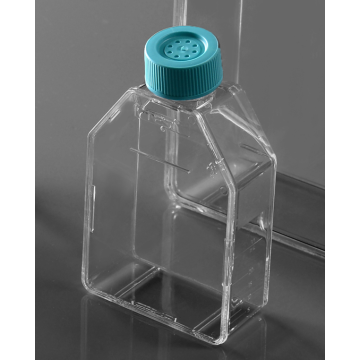 T25 cell culture flasks for adherent cells