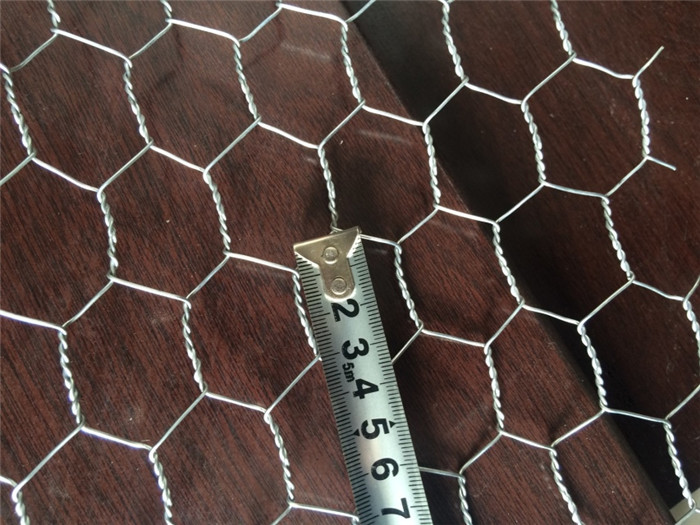 hexognal wire mesh 