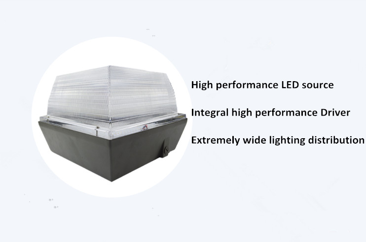 Led Canopy Light Dlc