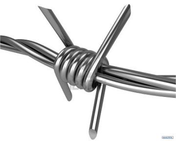 Barbed wire