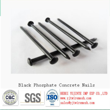 galvanized concrete nails(cement nails)