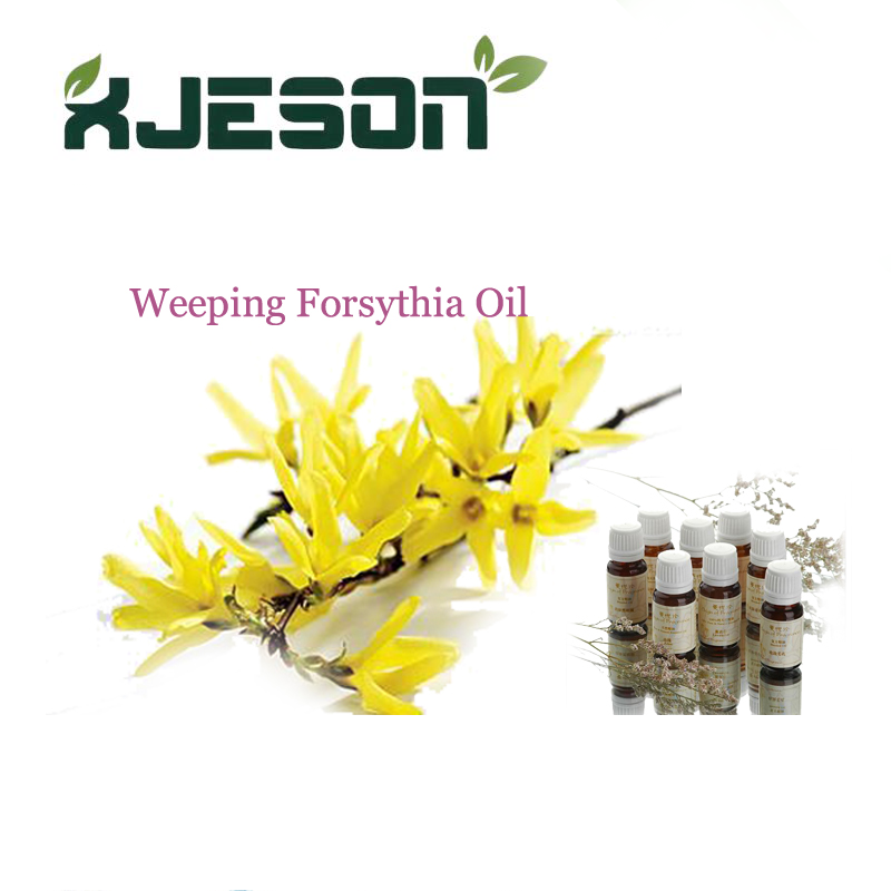 น้ำมันหอมระเหยน้ำมัน Forsythia Suspansa