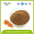 Cordyceps militaris extract contains 2.5% polysaccharide