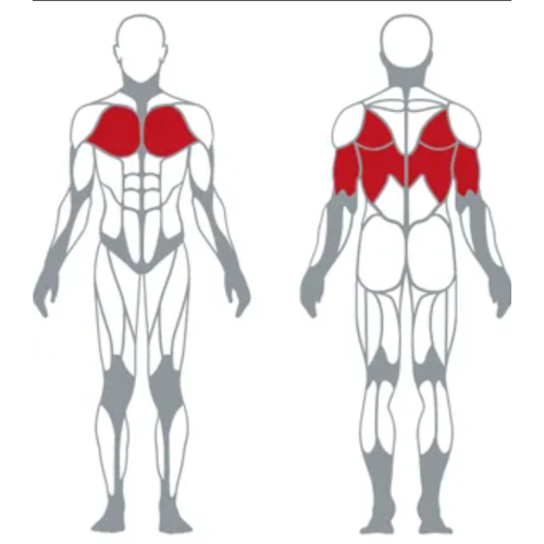 Professional Gym Strength Training SUPER PULLOVER MACHINE