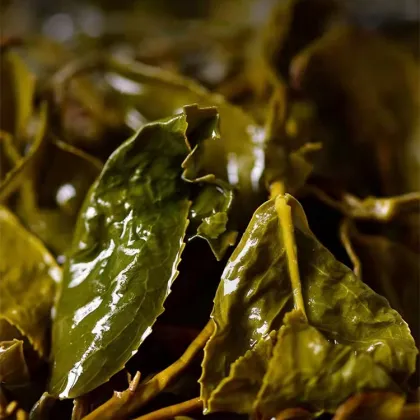 Taiwan High Mountain Dong Ding Oolong Tea Supplier - Vacuum Packed Loose Leaf Dong Ding Oolong