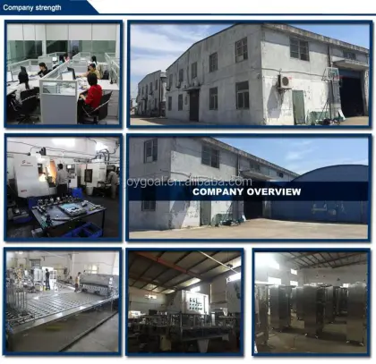 Double Chamber Vacuum Packing Machine DZ-500/2SB for Fish/Meat/Pork/Beef Jerky