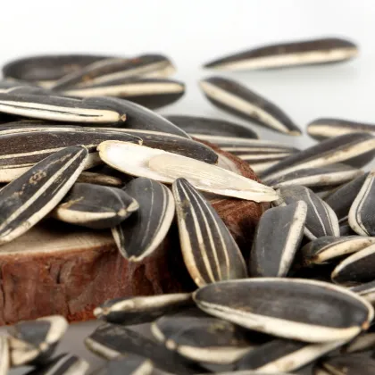 sunflower seed crude oil