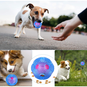 Juguetes de bola de perro para mascotas