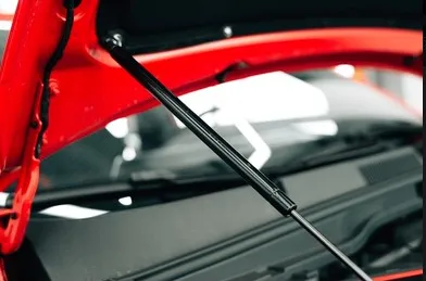 Premium Lift Support Struts for BM Models