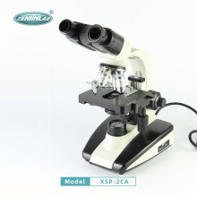 XSP-2CA lab Binocular Microscopio Biological Microscope