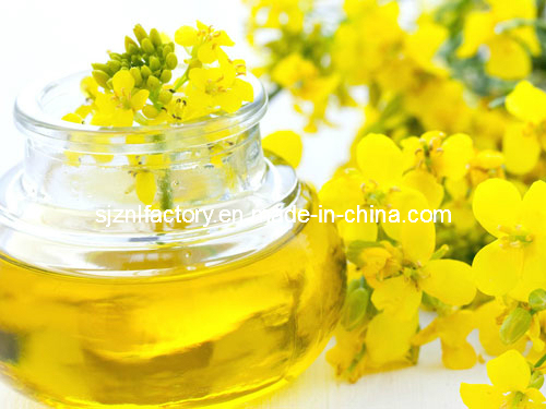 High Quality Rapeseed Oil 100% Purity