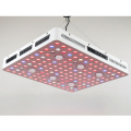 LED Crescimento Completo Espectro CoB LED Grow Light