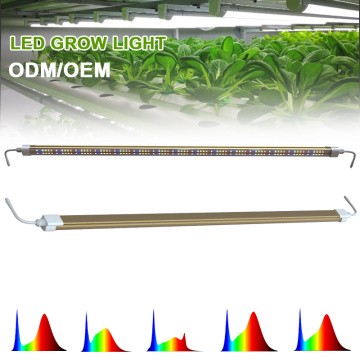 CE ROHS LED Grow Light