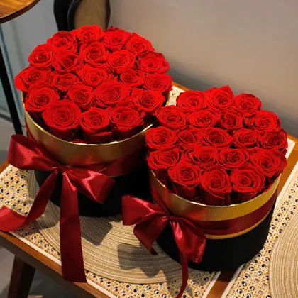 Wholesale Preserved Flower Dome - Eternity Roses in Box