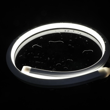 DC24V IP67 120LED Custom Waterproof Flexible Neon Strip Light