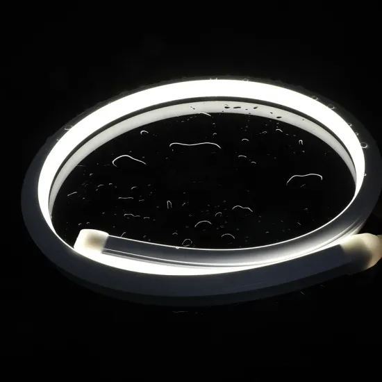DC24V IP67 120LED Custom Waterproof Flexible Neon Strip Light