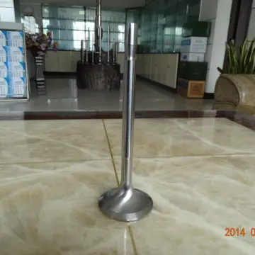 Marine SKL 8VDS26/20AL-2 Engine Spare Parts Engine Valve