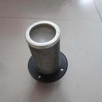 SDLG Kraftstofffilter 4110000613