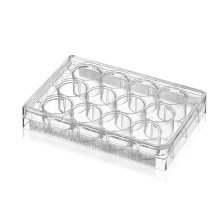 Non-treated 12 well Cell Culture Plates