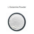 High Quality L-Glutamine Powder CAS 56-85-9